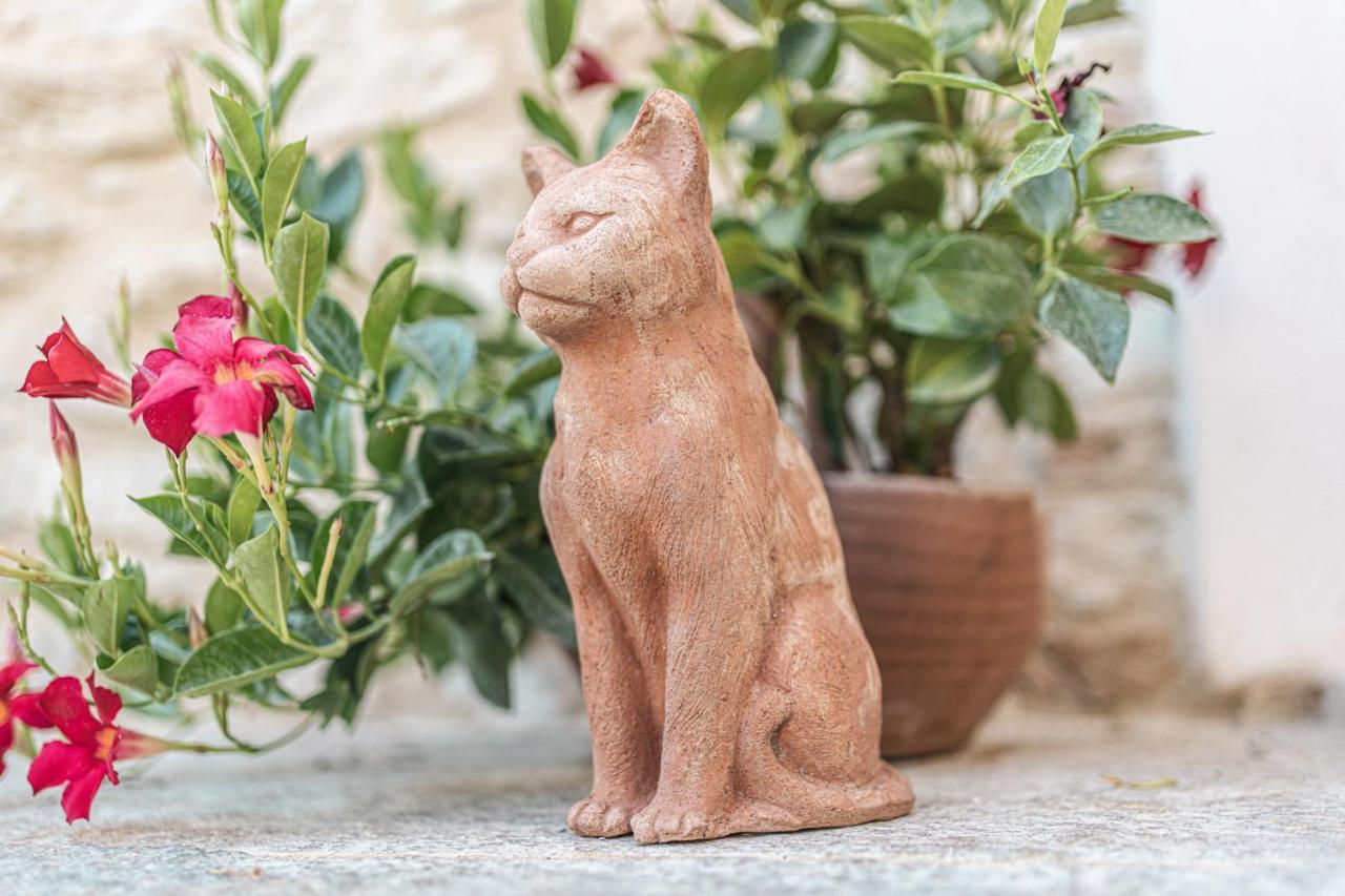 Hotel Borgo dei Gatti Golferenzo Esterno foto