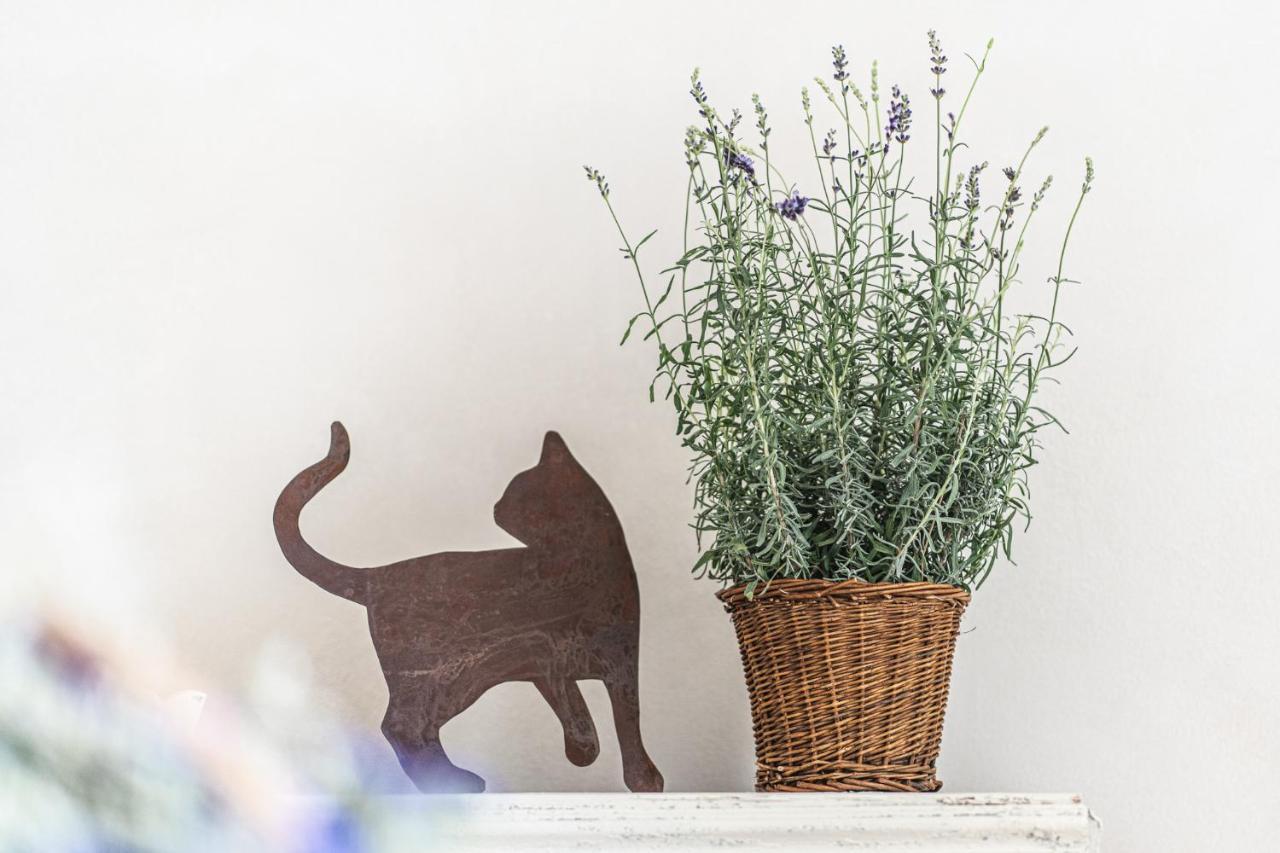 Hotel Borgo dei Gatti Golferenzo Esterno foto